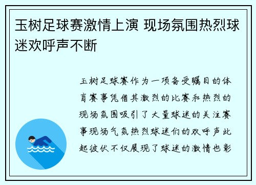 玉树足球赛激情上演 现场氛围热烈球迷欢呼声不断